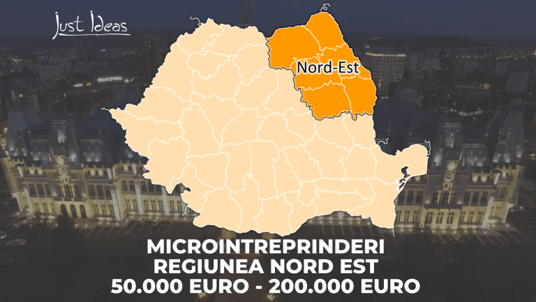 Investitii Pentru Modernizarea Microîntreprinderilor Nord-Est